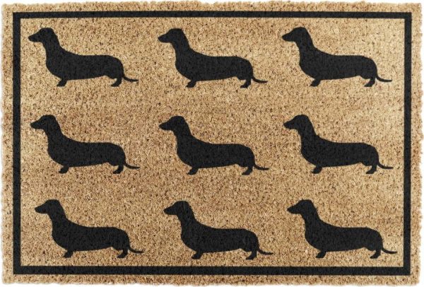 Rohožka z kokosového vlákna 40x60 cm Dachshund – Artsy Doormats