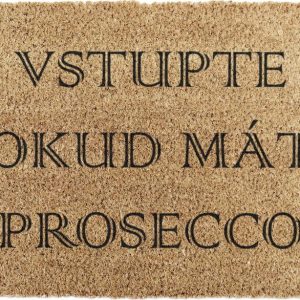 Rohožka z kokosového vlákna 40x60 cm Prosecco – Artsy Doormats