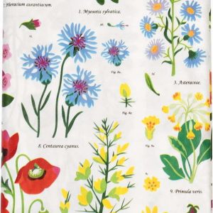 Ubrus z papíru 120x180 cm Wild Flowers – Rex London