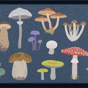 Rohožka 40x70 cm Mixed Wild Mushroom – Artsy Doormats