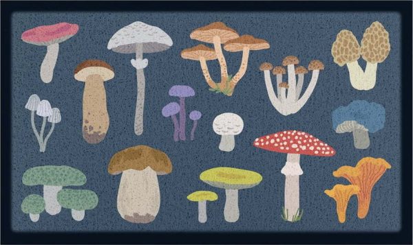 Rohožka 40x70 cm Mixed Wild Mushroom – Artsy Doormats