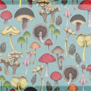 Rohožka 40x70 cm Wild Mushroom x Celia Battaini – Artsy Doormats