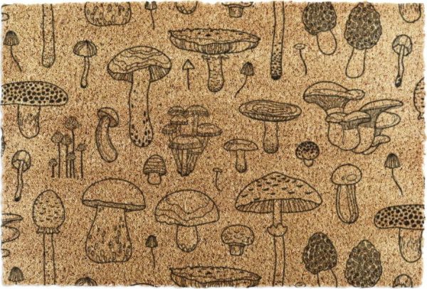 Rohožka z kokosového vlákna 40x60 cm Mushrooms – Artsy Doormats